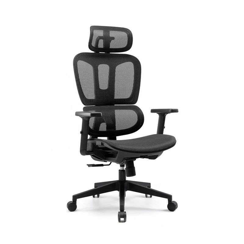 Modern Cheap High Back Computer Swivel Chair Adjustable Arm Full Mesh Chair Executive Ergonomic Office Chair With Lumbar Support
