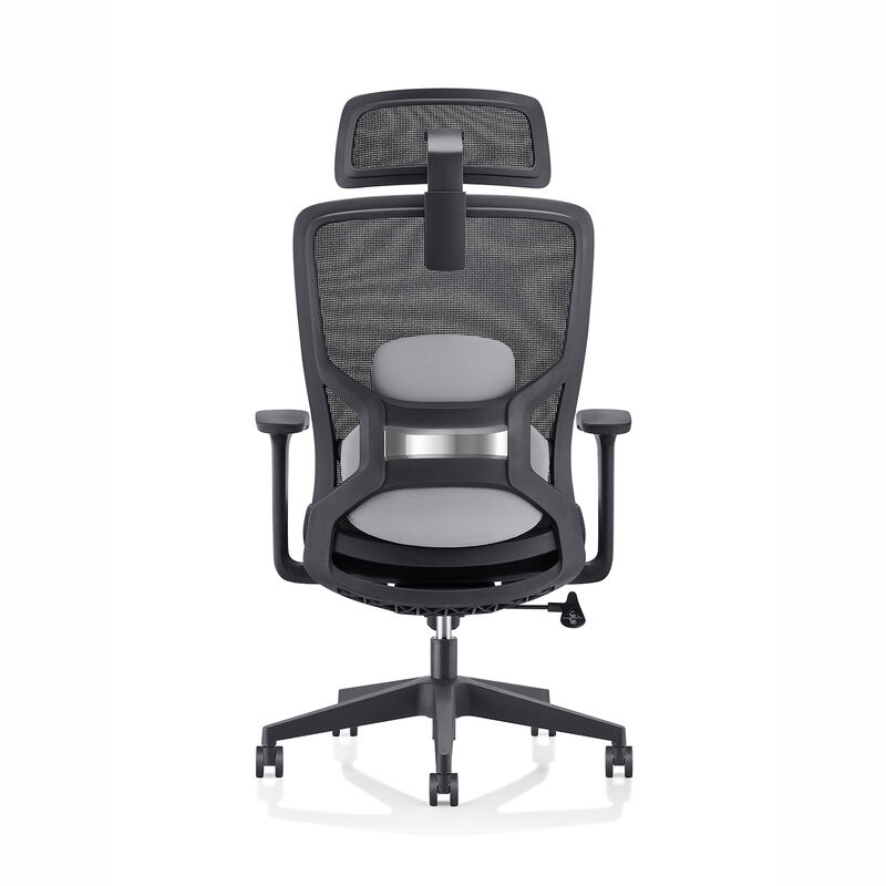 Luxury Office Manufacturer comfort Armrest Adjustable Design Task Computer High Back Mesh Ergonomic Chair With Lumbar Support