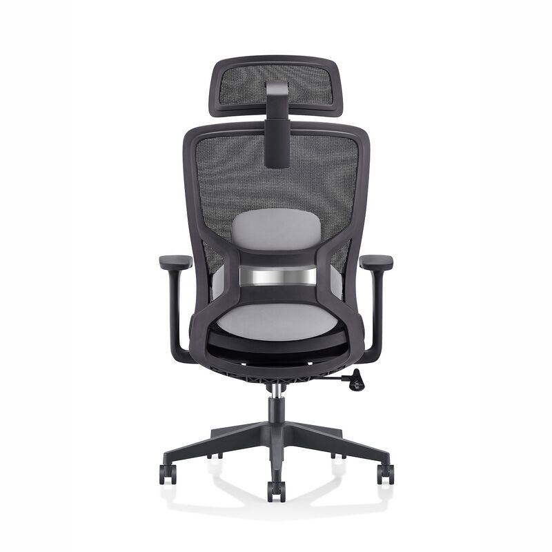 Luxury Office Manufacturer comfort Armrest Adjustable Design Task Computer High Back Mesh Ergonomic Chair With Lumbar Support