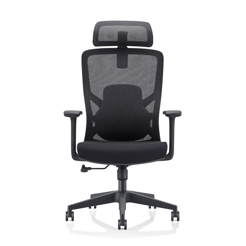 Luxury Office Manufacturer comfort Armrest Adjustable Design Task Computer High Back Mesh Ergonomic Chair With Lumbar Support