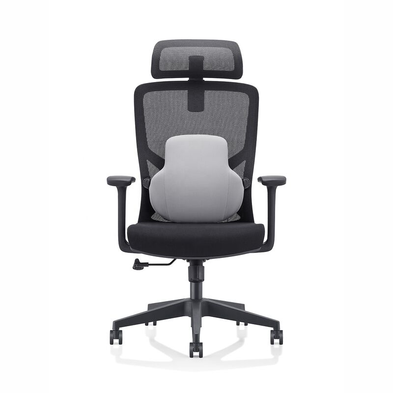 Luxury Office Manufacturer comfort Armrest Adjustable Design Task Computer High Back Mesh Ergonomic Chair With Lumbar Support