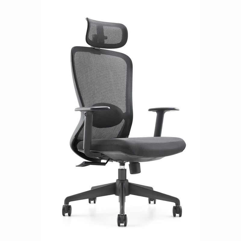 Modern Office Furniture Comfortable 2D Armrest Adjustable Swivel Mesh Executive Ergonomic Office Chair With Lumbar Support
