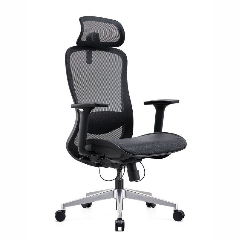 Office Chair Free Shipping Ergonomic Full Mesh Back & Seat Cushion Office Executive Manager Computer Comfortable Sleeping Chair