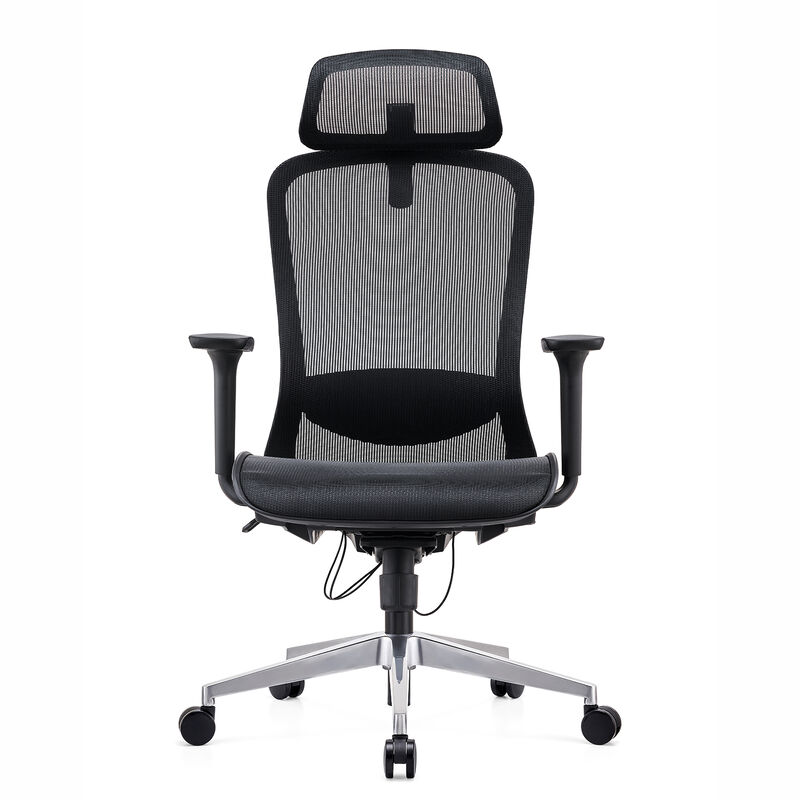 Office Chair Free Shipping Ergonomic Full Mesh Back & Seat Cushion Office Executive Manager Computer Comfortable Sleeping Chair