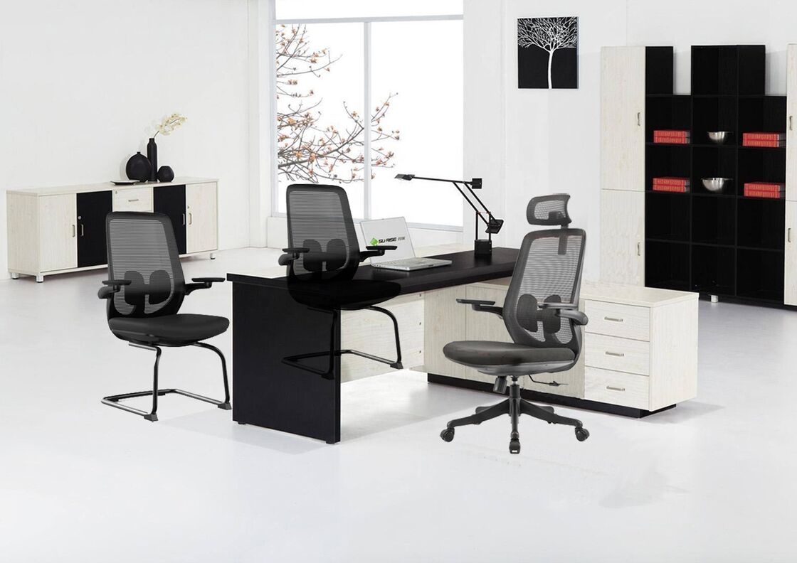 Mid Back Mesh Executive Office Chair 2D Arm Stainless Steel Metal Type