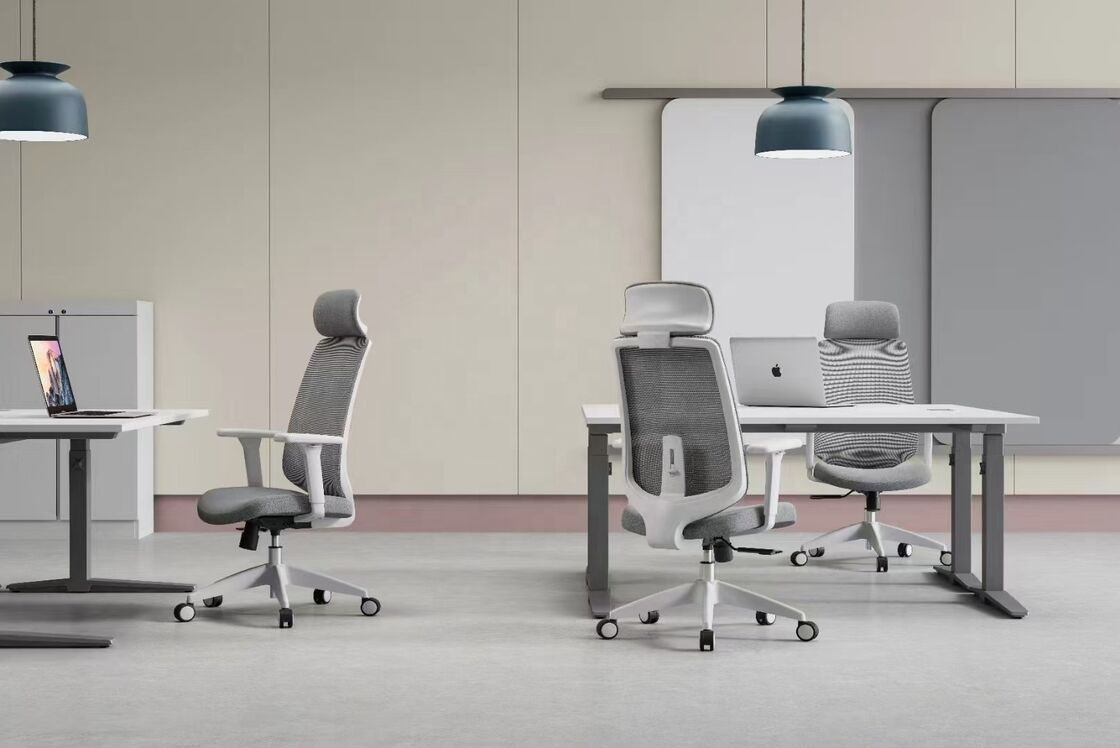 Comfortable Chairs Rotating Fabric Swivel Gas Lifting Computer Ergonomic Mesh Executive Office Chair Adjustable Lumbar Support