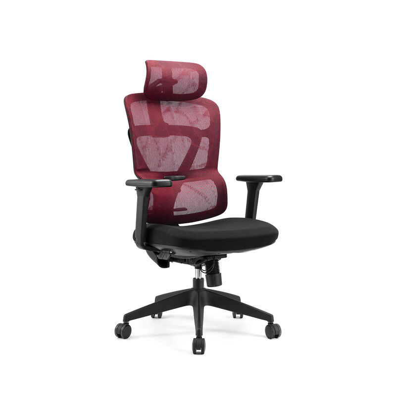 Moderner Bürostuhl Ergonomische Mesh Armlehne Verstellbar Schwenk Executive Ergonomische Mesh Bürostuhl Lendenstütze