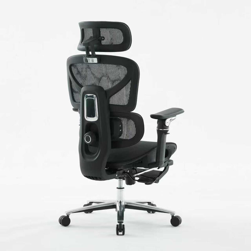 Assemblyrequired True ergonomic office chair featuring breathable mesh back adjustable lumbar support and stainless steel frame for office