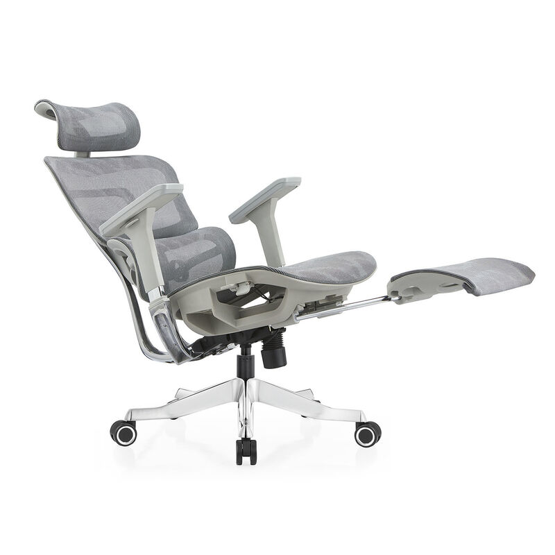 Chaise de bureau ergonomique PE Frame Full Mesh avec accoudoirs réglables, dossier en maille respirante, support lombaire, chaise de bureau pivotante pour manager avec repose-pieds